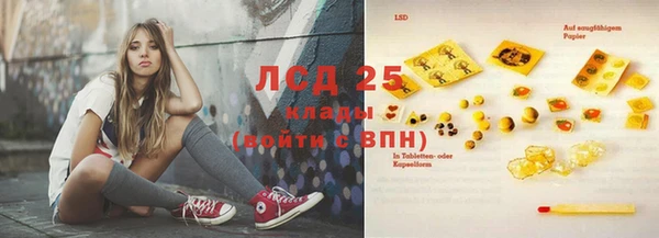спиды Богданович