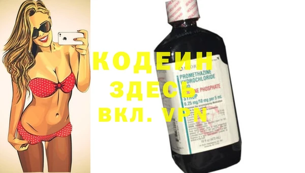 шишки Богородицк