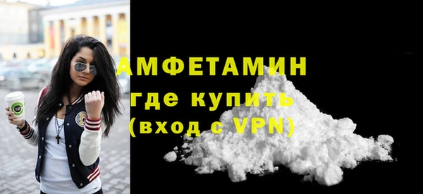 шишки Богородицк