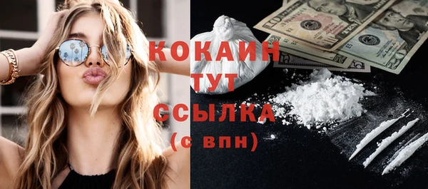 шишки Богородицк