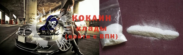 спиды Богданович